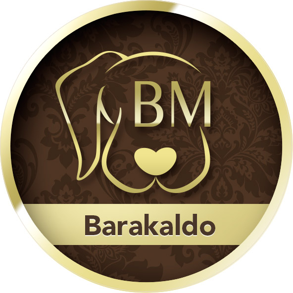 logo 1 by mascota barakaldo